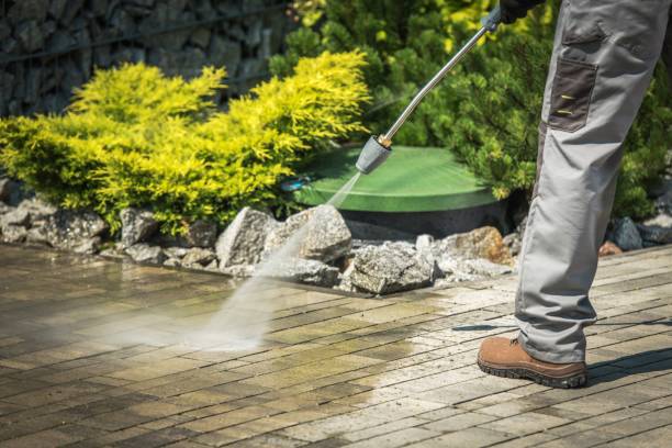Best Sidewalk and Walkway Cleaning  in Dodgeville, WI